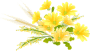 u[P