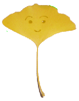 傤̗t