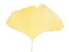 C`E