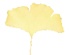 C`E