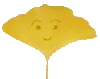 C`E