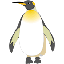 yM