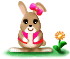 usagi
