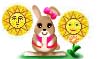 sun usagi saffron