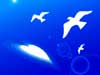 ї܂