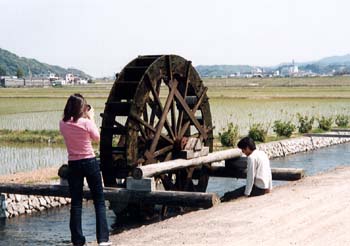 suisya